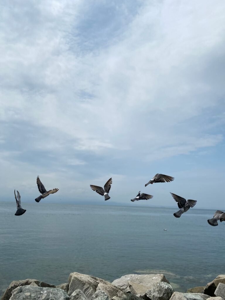 Reduce Therapy No-Shows Using Behavioral Funnels: The Psychology of Commitment